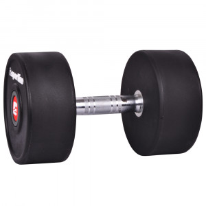 Professional Dumbbell inSPORTline PROFI 26 kg