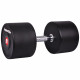 Professional Dumbbell inSPORTline PROFI 48 kg