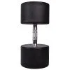 Professional Dumbbell inSPORTline PROFI 46 kg