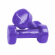 Set of vinyl dumbbells inSPORTline  2 х 1 kg