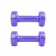 Set of vinyl dumbbells inSPORTline  2 х 1 kg