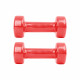 Dumbbell inSPORTline - set 2 x 1.5 kg