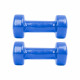 Dumbbell inSPORTline set - 2 x 2 kg