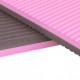 Aerobic Gym Mat inSPORTline Profi, Pink