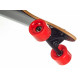 Longboard SPARTAN Shadow Wood 42