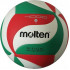 Volleyball ball MOLTEN V5M4000