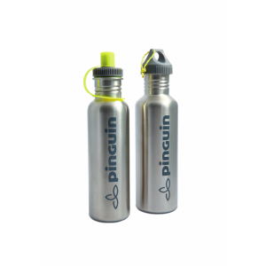 Stainless steel bottle PINGUIN Bottle L