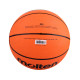 Basketball ball MOLTEN B6R