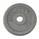 Steel Weights SPARTAN 2 x 1,25 kg / 30 mm Steel Weights SPARTAN 2 x 1,25 kg / 30 mm