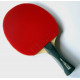 JOOLA Spider table tennis racket