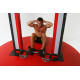 Total Upper Body Workout Bar IRON GYM Extreme