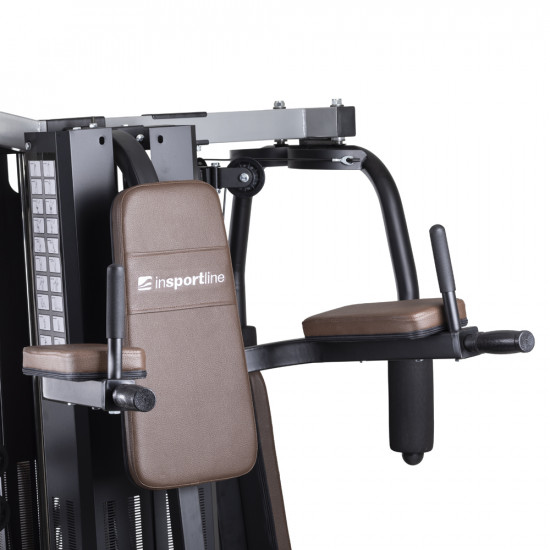 Gladiator inSPORTline Profigym C300