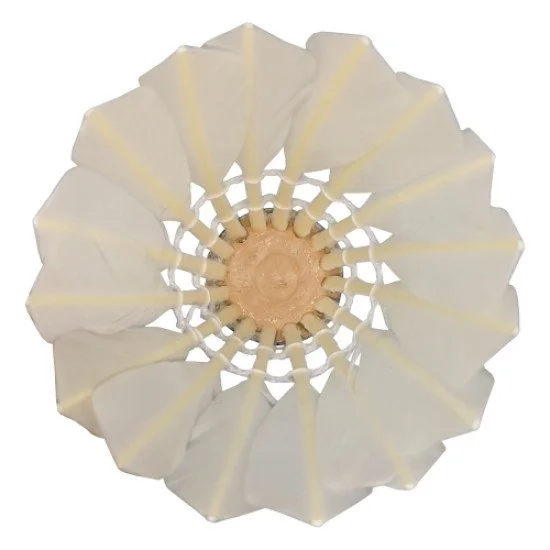 Badminton feathers MAXIMA natural Badminton feathers MAXIMA natural