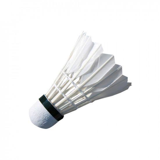 Badminton feathers SPARTAN Champion
