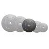 Cement Weight Disc inSPORTline 5 kg