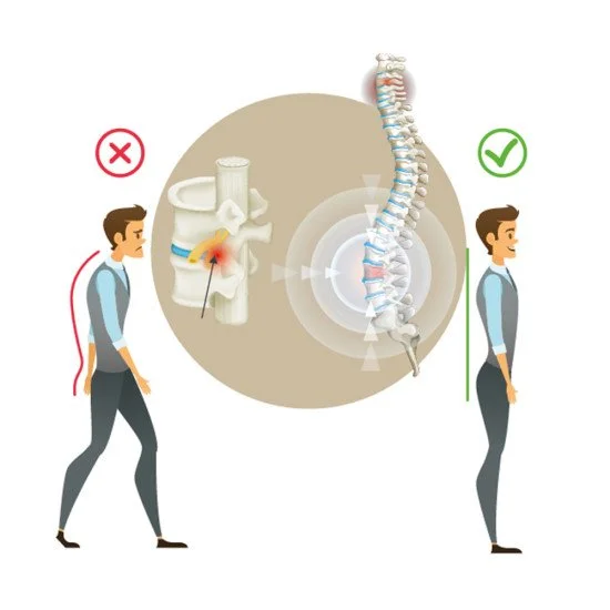Inversion Table inSPORTline Inverso Heaty