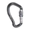Screwgate carabiner BEAL BE LINK