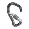 Screwgate carabiner BEAL BE LINK