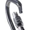 Screwgate carabiner BEAL BE LINK