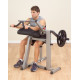 Biceps and Triceps Machine Body Solid GCBT-380