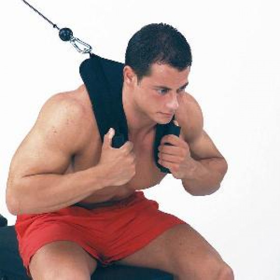 AB Crunch Harness inSPORTline