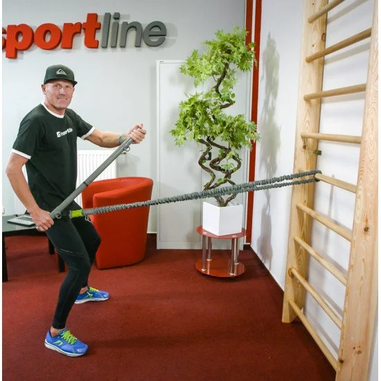 Swedish wall inSPORTline Steadyline 240x90 cm