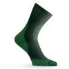 Тhermo socks LASTING TKH, Green Тhermo socks LASTING TKH, Green
