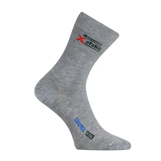 Тhermo socks LASTING XOL, Gray