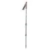 Trekking poles PINGUIN Ascent FL Cork