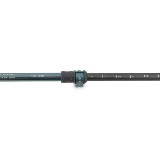 Trekking poles PINGUIN Ascent FL Cork
