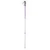 Trekking poles PINGUIN Ascent FL Cork