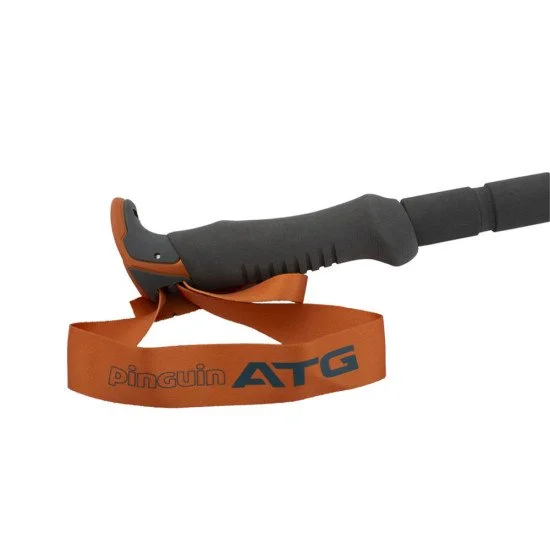 Nordic walking sticks PINGUIN Tour long FL foam