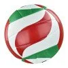 Volleyball ball MOLTEN V5M2500 Volleyball ball MOLTEN V5M2500