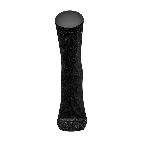 Thermal socks LASTING WHI 900