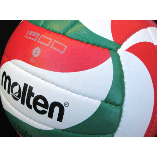 Volleyball MOLTEN V5M1900