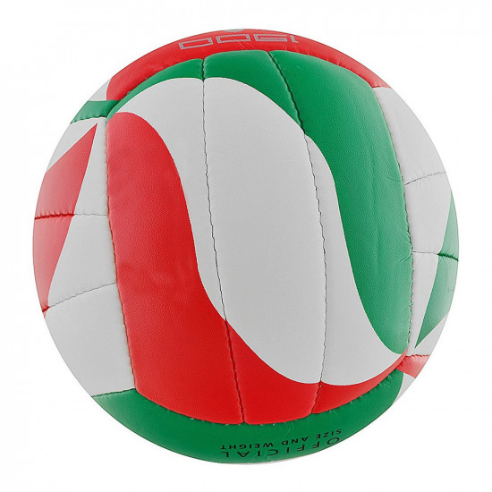 Volleyball MOLTEN V5M1900