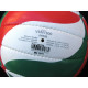 Volleyball MOLTEN V5M1900