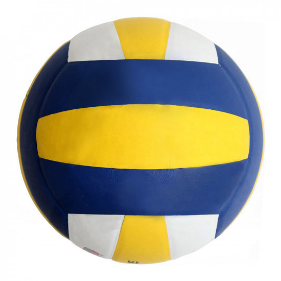 Volleyball Spartan indoor