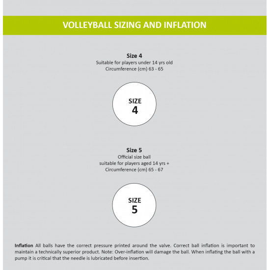 Volleyball ball MOLTEN V5C1400