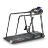 Treadmill inSPORTline Neblin