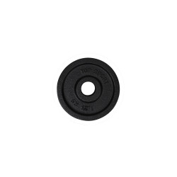 Cast iron disc TOP SPORT Castyr 1.25 kg