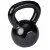 Iron Dumbbell SPARTAN 12 kg 
