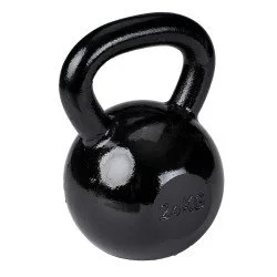 Iron Dumbbell SPARTAN 24 kg 