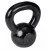 Iron Dumbbell SPARTAN 4 kg 