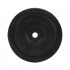 Cast iron disc TOP SPORT Castyr 15 kg