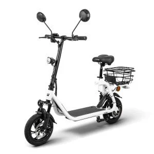 E-Scooter W-TEC Billar III 500W 12”