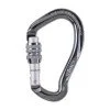 Screwgate carabiner BEAL BE LINK