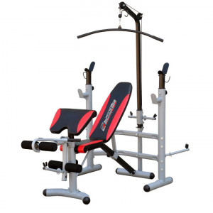 Multi-Function Bench inSPORTline Bastet