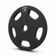Eleiko Vulcano Disc - 10 kg