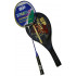 Badminton racket SPARTAN Swing